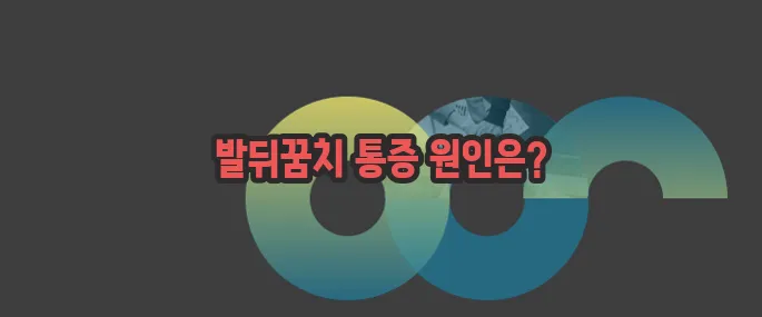 아킬레스건 통증 자세히 알아볼게요