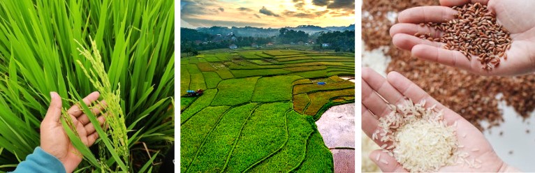 공익_직불금_신청_기간