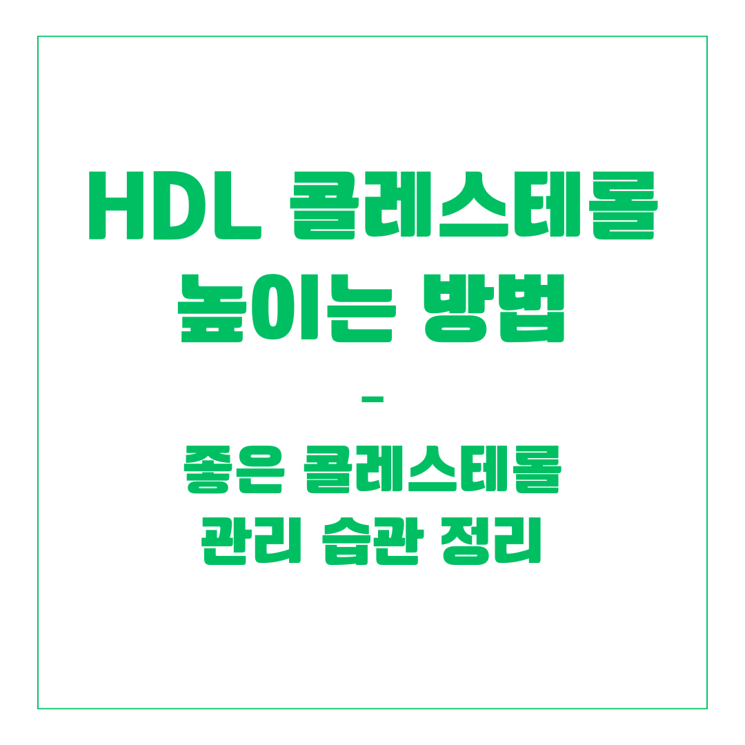 HDL 콜레스테롤 높이는 방법 – 좋은 콜레스테롤 관리 습관 정리