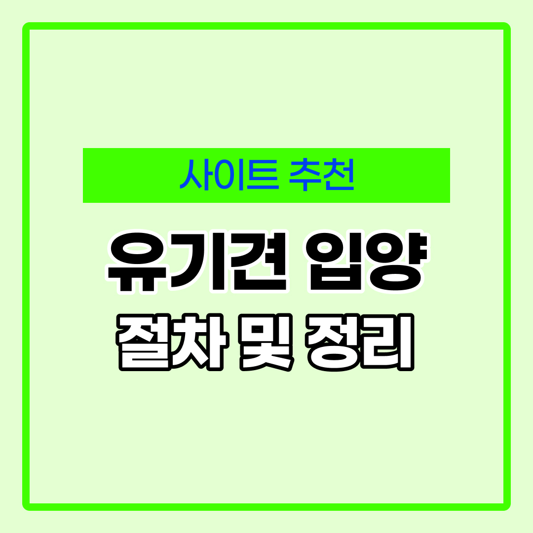 유기견입양사이트