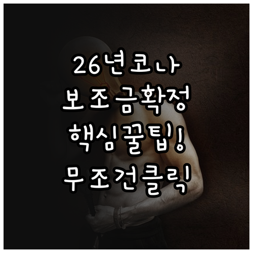 2026년 코나 일렉트릭 지역별 보조..