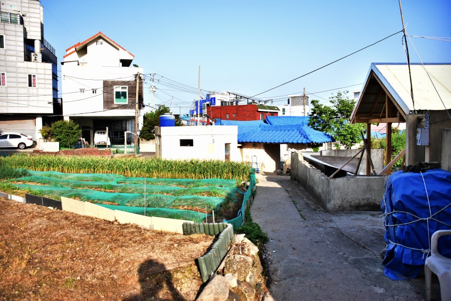 해운대 청사포 옛날 마을