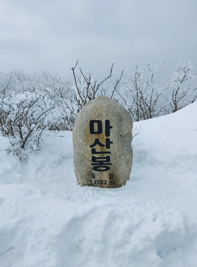 고성29