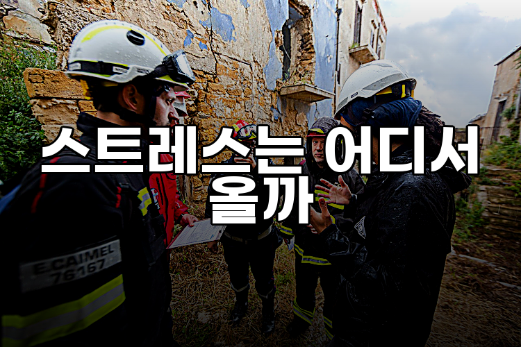 스트레스는 어디서 올까