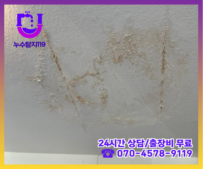 주엽동 아파트 빌라 화장실 천장 누수2