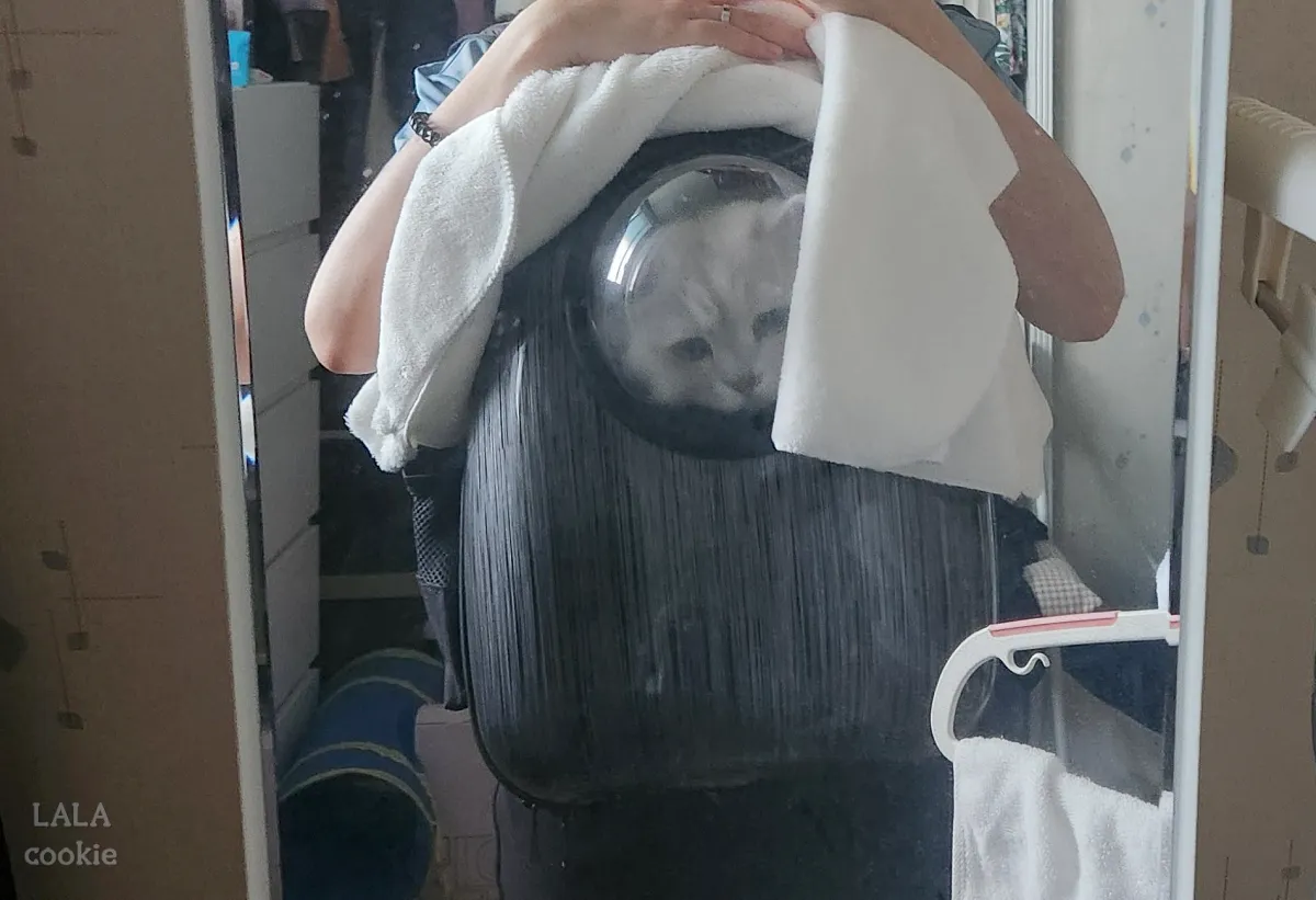 고양이-이동장-추천-백팩형-이동장에-들어간-고양이