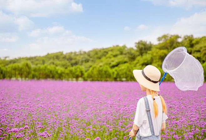 에코랜드 테마파크