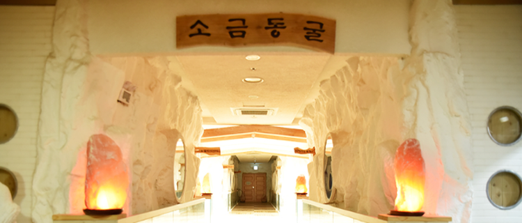 장흥 우드랜드 편백숲