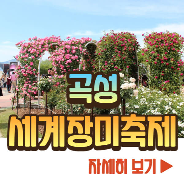 곡성 세계장미축제