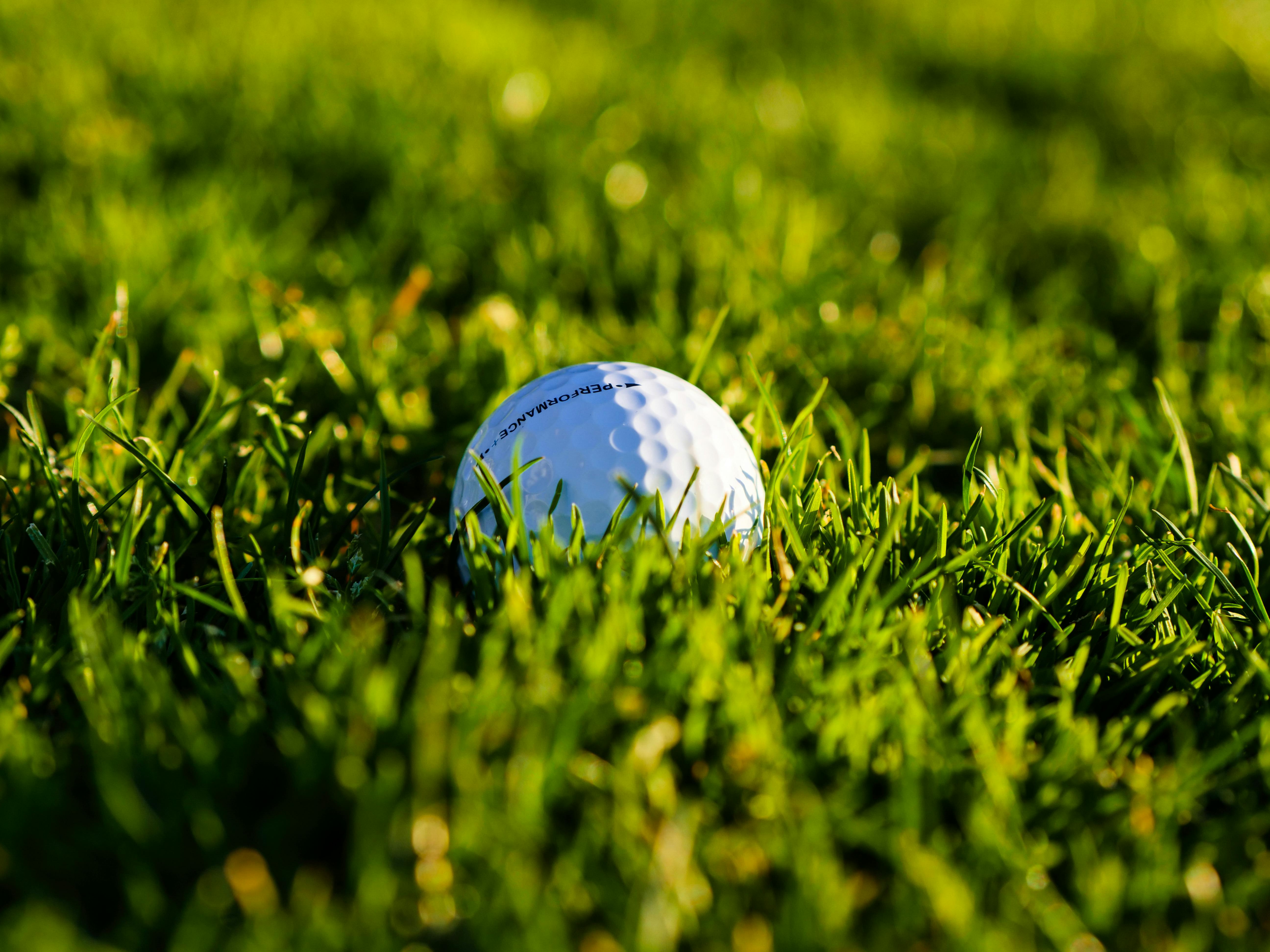 노캐디골프장관련이미지