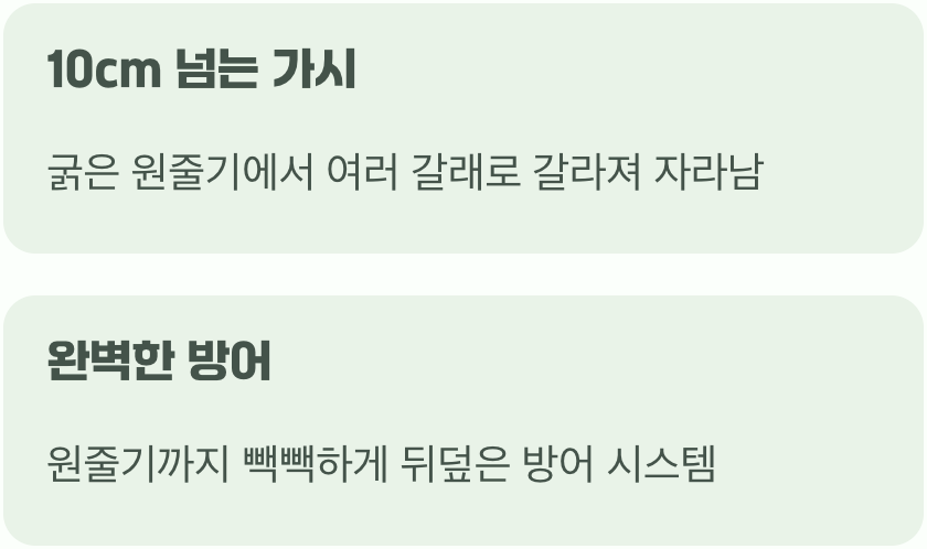 온몸을 뒤덮은 날카로운 갑옷