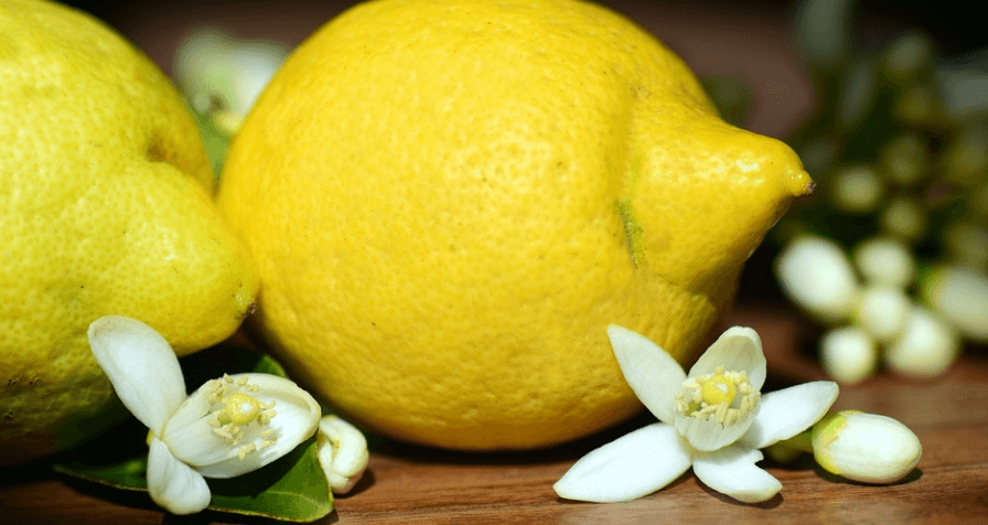 셀레늄이 많은 음식 - 7