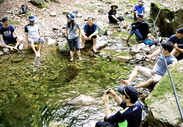 축제중 힐링프로그램