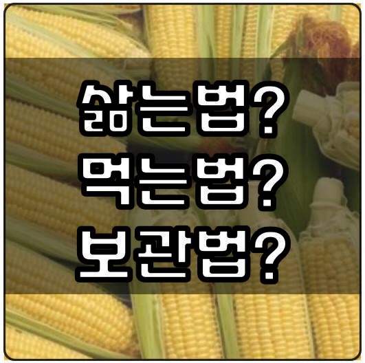 초당옥수수