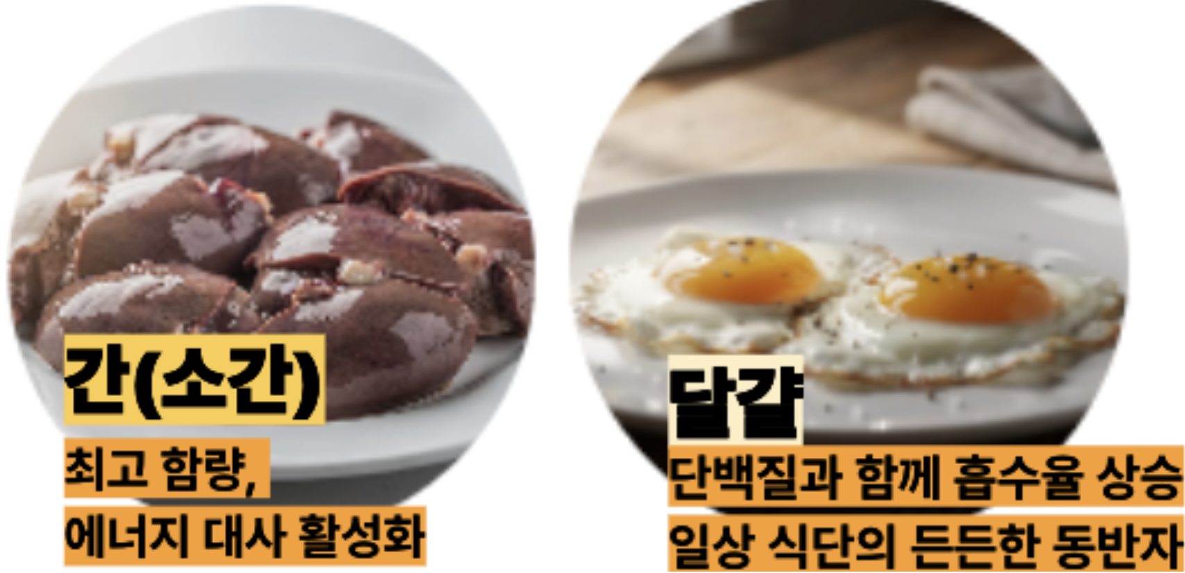 비타민B2 많은 절대 강자 간&amp;#44;달걀