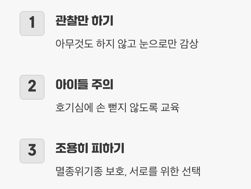 물장군과 마주쳤을 때, 최고의 대처법