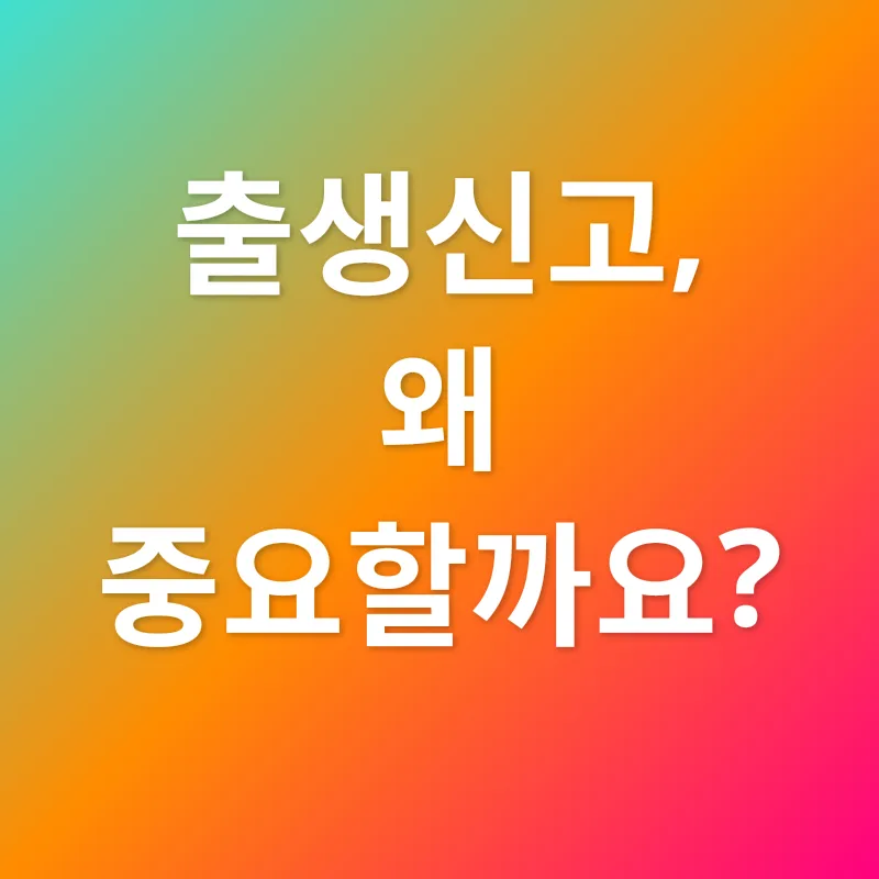 출생신고서_1