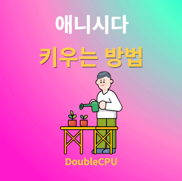 애니시다 키우기