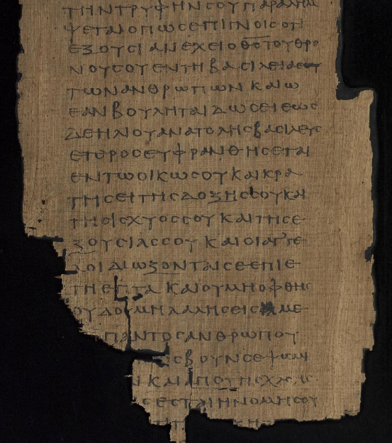 사본의 장식과 필사 문화: 신앙의 흔적을 새기다