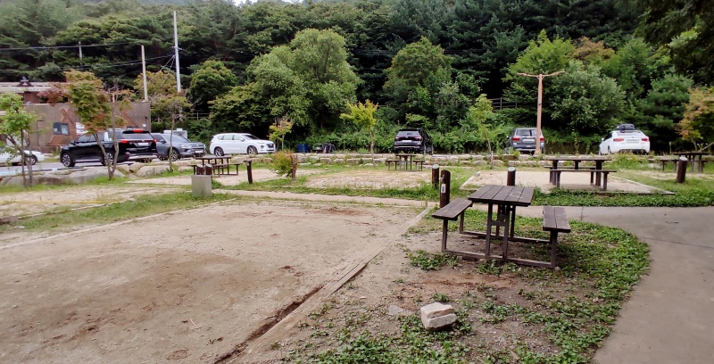 기존에 갔을때 A구역 나무가 너무 작아 그늘이 하나도 없는 모습