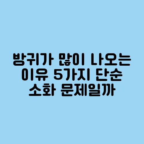 방귀가 많이 나오는 이유 5가지 단순 소화 문제일까