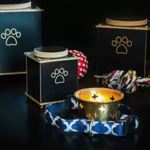 반려견 장례 비용 및 절차