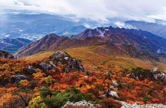 2025 가을 경상도 단풍 명소 산행 추천 ❘ 주왕산&middot;가야산&middot;팔공산 절정 시기