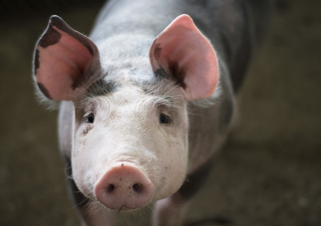 띠별 운세 10월 26일