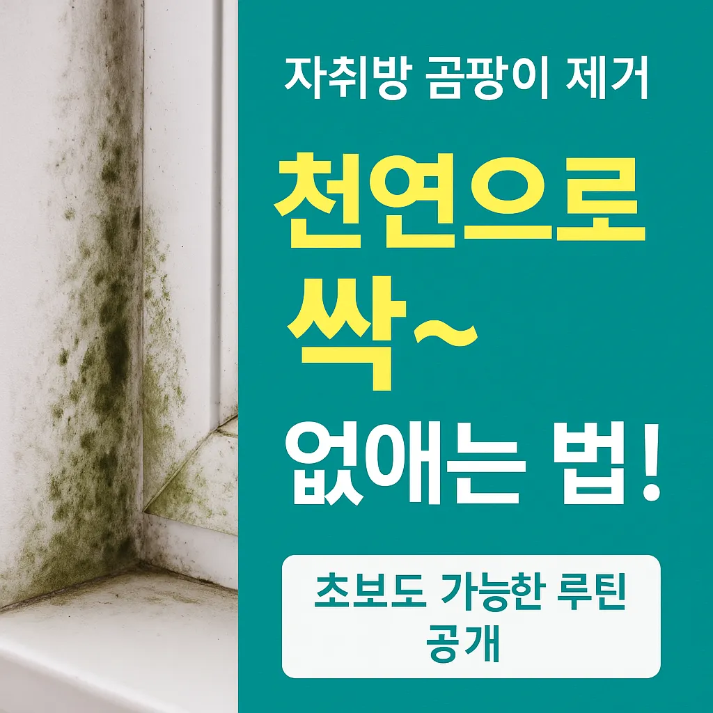 자취방 곰팡이 제거 꿀팁, 천연으로 싹 없애는 법