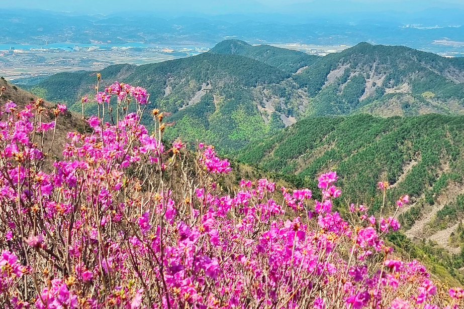 사천시 가볼만한곳 베스트10