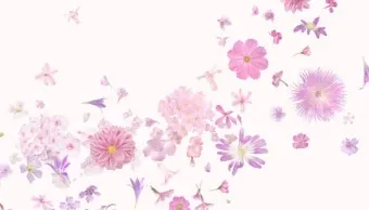 4월 넷째주 주말 봄꽃 축제 날씨_27