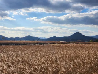 순천 가볼만한곳 베스트10 순천만 갈대밭 숨겨진 명소_15