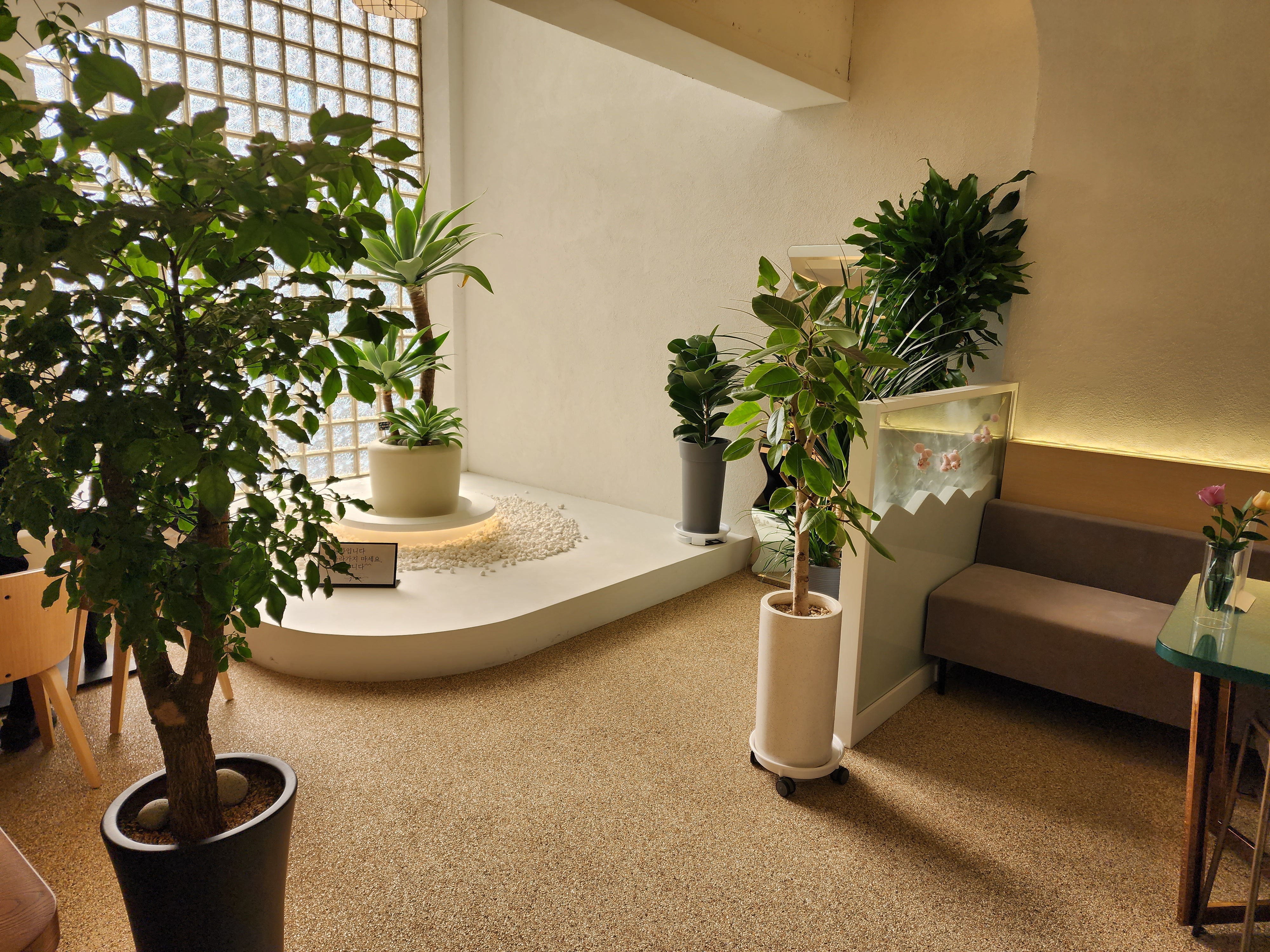 시그니처 카페 내부