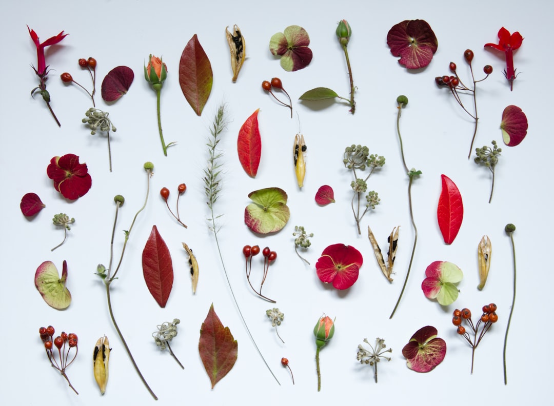 'varieties'