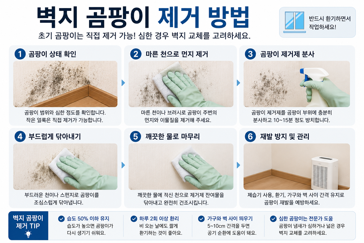 벽지 곰팡이 제거 방법