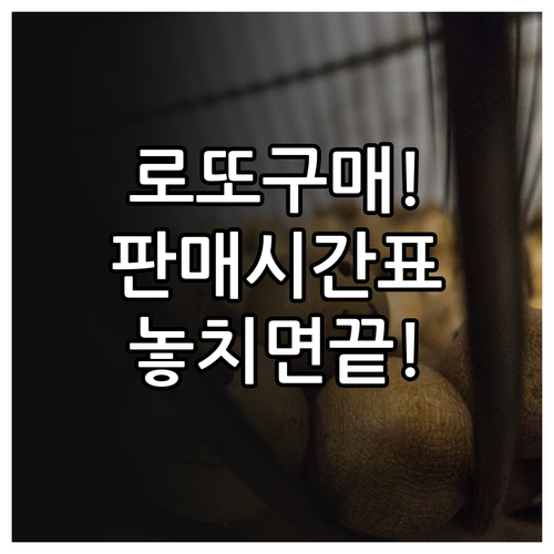 동행복권 로또 구매 가능 시간과 요일..