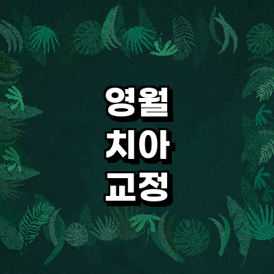 영월군 교정 치과