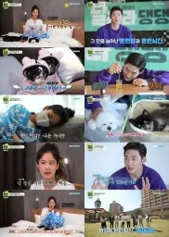 행복한 반려견 맞이하기 나에게 맞는 강아지 선택 가이드_21