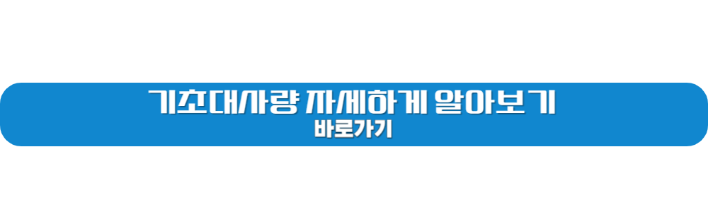 기초대사량