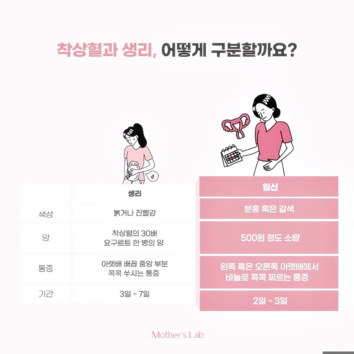 착상혈과-생리의-차이