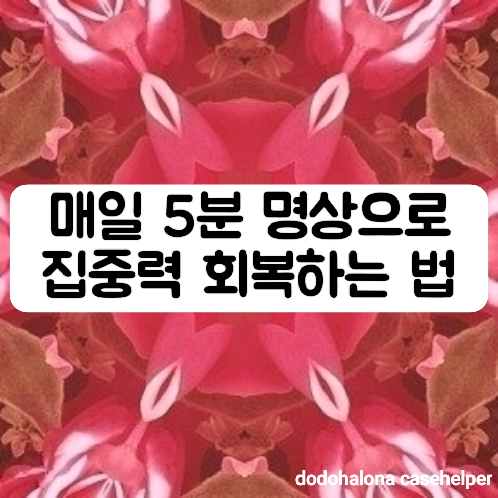 매일 5분 명상으로 집중력 회복하는 법