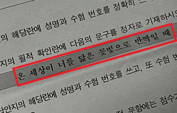 온-세상이-너를-닮은-꽃빛으로-반짝일-때-사진