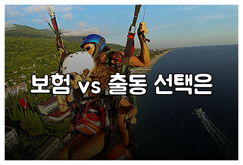 보험 vs 출동 선택은