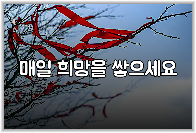 매일 희망을 쌓으세요