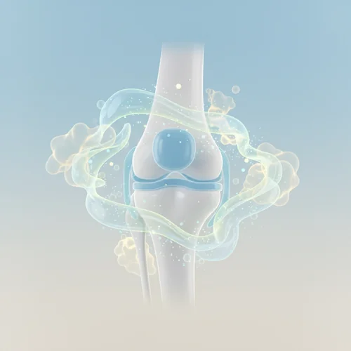 관절 통증 싹! 연골 건강 지키는 난각막의 힘