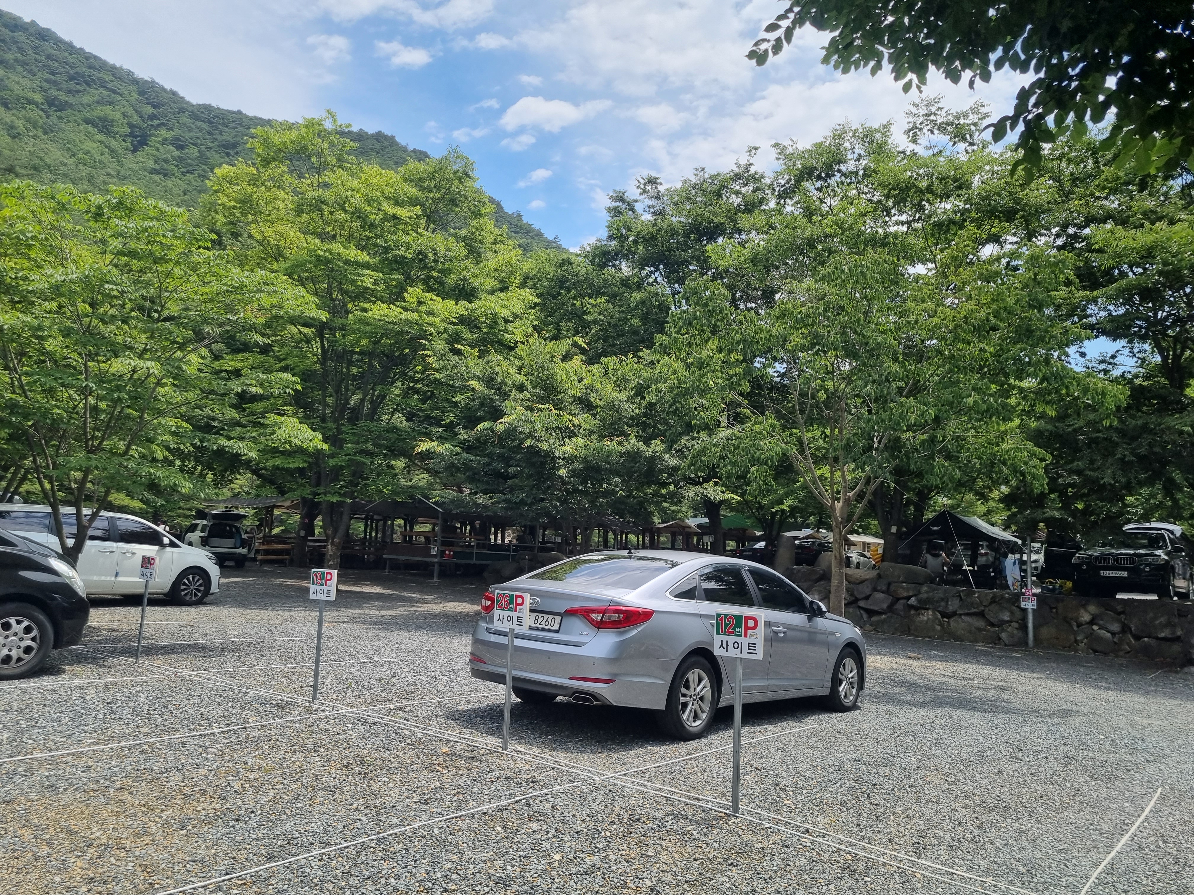 둥지펜션캠핑장