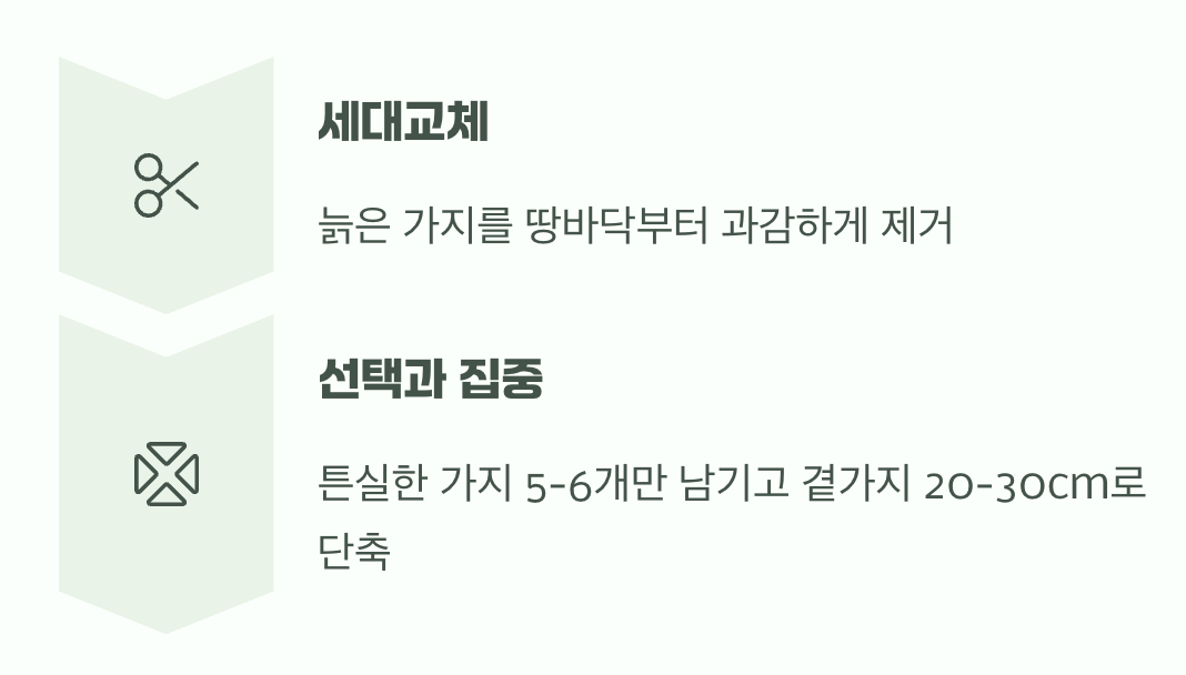 겨울의 정리, 두 번째 가위질 (동계전정)
