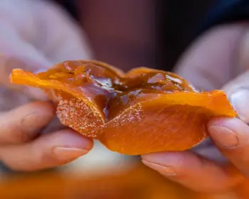 지리산 산청곶감축제_8