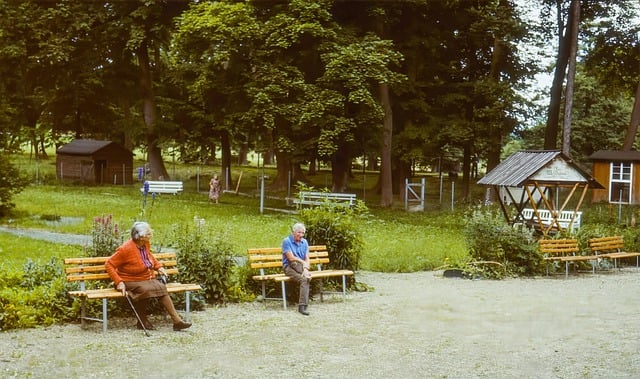 장애인 활동지원사 사진