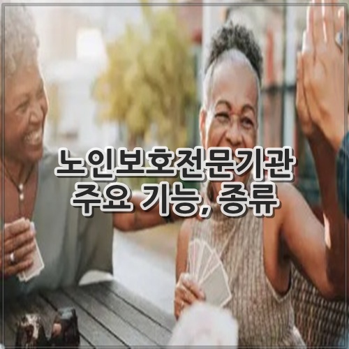 노인보호전문기관 주요 기능, 종류